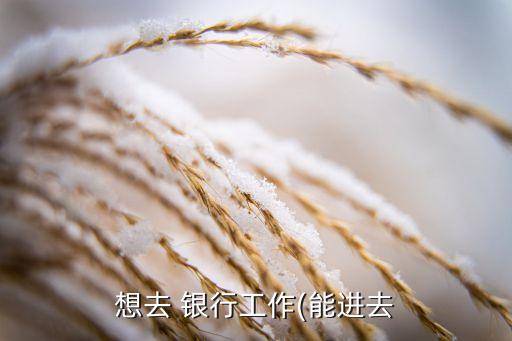 想去 銀行工作(能進(jìn)去