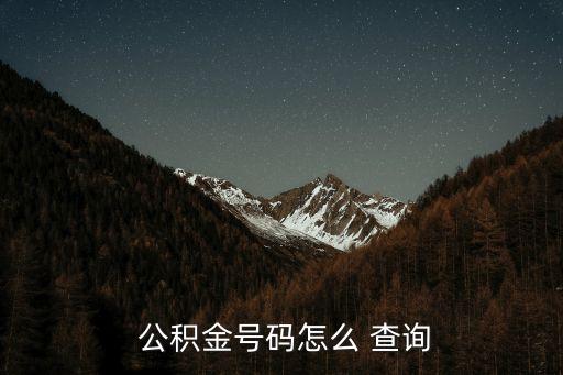  公積金號(hào)碼怎么 查詢