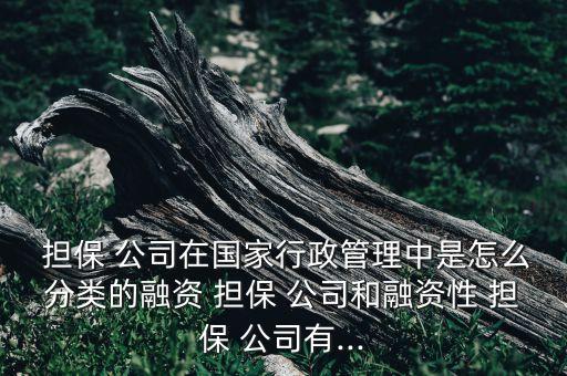 擔(dān)保公司是否屬于金融機構(gòu),小額擔(dān)保公司是金融機構(gòu)嗎