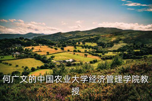 2011中國(guó)金融論壇,中國(guó)金融40人論壇成員