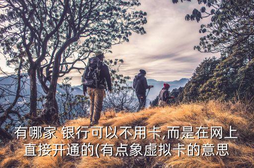有哪家 銀行可以不用卡,而是在網(wǎng)上直接開(kāi)通的(有點(diǎn)象虛擬卡的意思