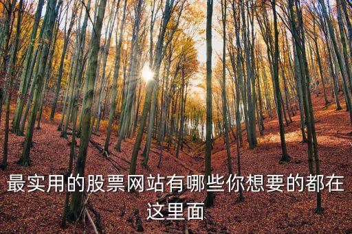 上海證券報(bào)中國證券網(wǎng)