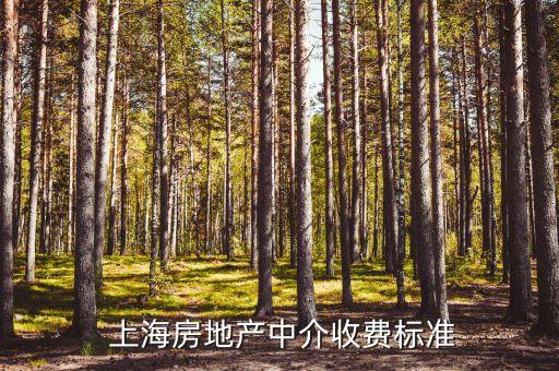  上海房地產(chǎn)中介收費(fèi)標(biāo)準(zhǔn)