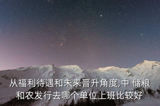 從福利待遇和未來晉升角度,中 儲(chǔ)糧和農(nóng)發(fā)行去哪個(gè)單位上班比較好