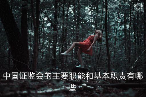 中國證監(jiān)會(huì)的主要職能和基本職責(zé)有哪些
