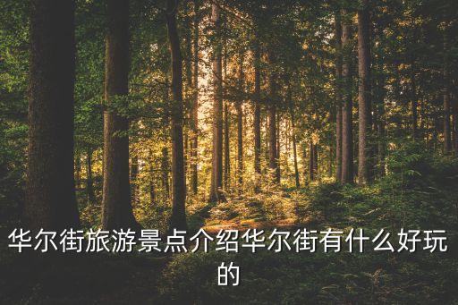 華爾街旅游景點介紹華爾街有什么好玩的