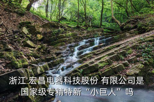 浙江 宏昌電器科技股份 有限公司是國(guó)家級(jí)專(zhuān)精特新“小巨人”嗎