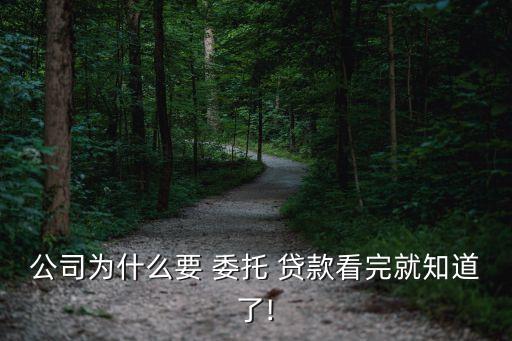 公司為什么要 委托 貸款看完就知道了!
