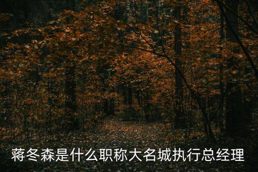 蔣冬森是什么職稱大名城執(zhí)行總經(jīng)理