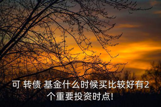可 轉(zhuǎn)債 基金什么時(shí)候買比較好有2個(gè)重要投資時(shí)點(diǎn)!