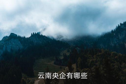 云南央企有哪些