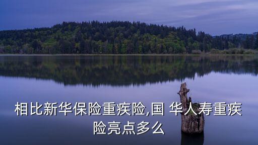 國華人壽公司運營情況