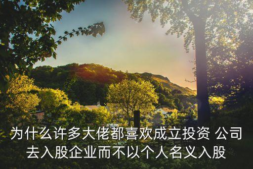為什么許多大佬都喜歡成立投資 公司去入股企業(yè)而不以個人名義入股