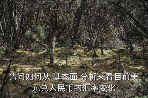 請問如何從 基本面 分析來看目前美元兌人民幣的匯率變化