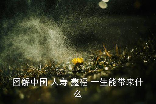 圖解中國(guó) 人壽 鑫福 一生能帶來(lái)什么