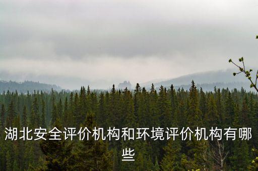 福建安邦科技有限公司,浙江安邦護衛(wèi)科技服務有限公司