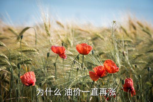 為什么 油價一直再漲
