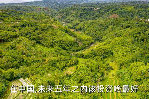 在中國(guó),未來(lái)五年之內(nèi)該投資啥最好