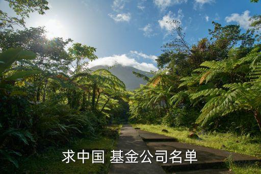 求中國 基金公司名單