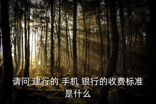 請問 建行的 手機(jī) 銀行的收費(fèi)標(biāo)準(zhǔn)是什么
