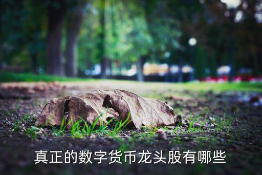 美盛文化股票股吧,002699美盛文化股吧