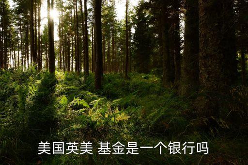 美國英美 基金是一個(gè)銀行嗎