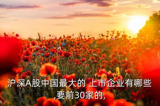 滬深A股中國最大的 上市企業(yè)有哪些,要前30家的,
