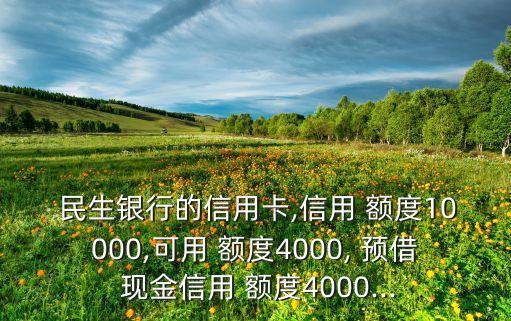  民生銀行的信用卡,信用 額度10000,可用 額度4000, 預借 現(xiàn)金信用 額度4000...