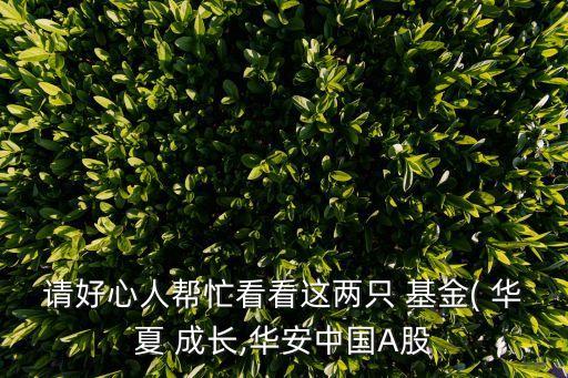請(qǐng)好心人幫忙看看這兩只 基金( 華夏 成長,華安中國A股