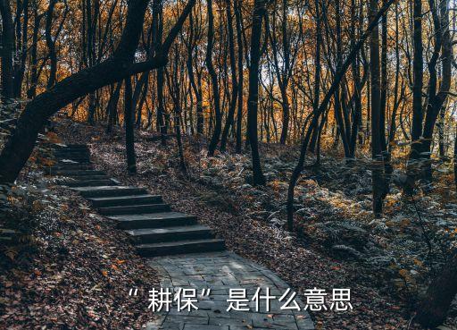 “ 耕?！笔鞘裁匆馑? class=