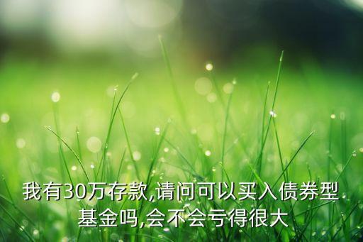 現(xiàn)在可以買轉(zhuǎn)債基金嗎