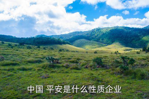 中國(guó) 平安是什么性質(zhì)企業(yè)