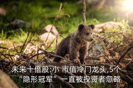 網(wǎng)筑集團(tuán)市值,長江實(shí)業(yè)集團(tuán)市值