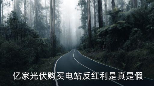  億家光伏購(gòu)買電站反紅利是真是假