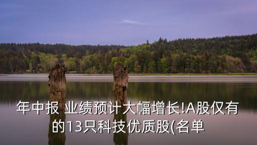 年中報(bào) 業(yè)績(jī)預(yù)計(jì)大幅增長(zhǎng)!A股僅有的13只科技優(yōu)質(zhì)股(名單