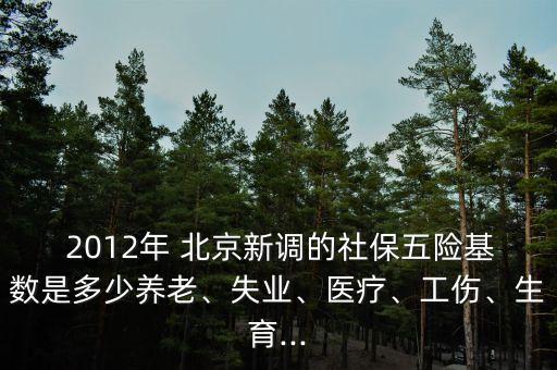  2012年 北京新調的社保五險基數(shù)是多少養(yǎng)老、失業(yè)、醫(yī)療、工傷、生育...