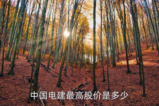 中國(guó)電建最高股價(jià)是多少