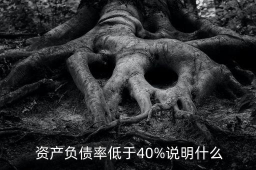  資產(chǎn)負(fù)債率低于40%說(shuō)明什么
