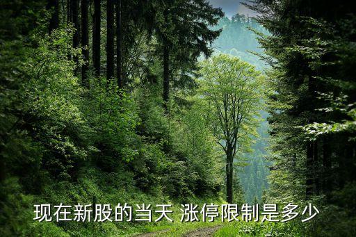 現(xiàn)在新股的當(dāng)天 漲停限制是多少