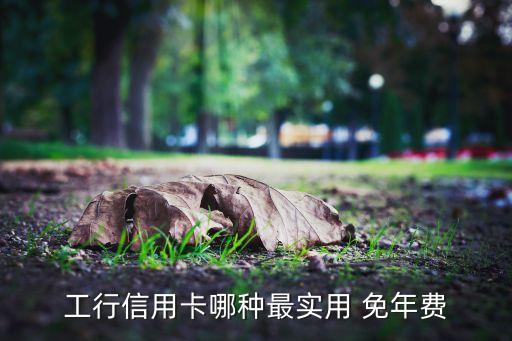 工行信用卡哪種最實(shí)用 免年費(fèi)