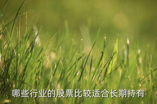 哪些行業(yè)的股票比較適合長期持有