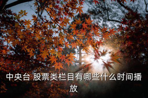 中央臺(tái) 股票類欄目有哪些什么時(shí)間播放