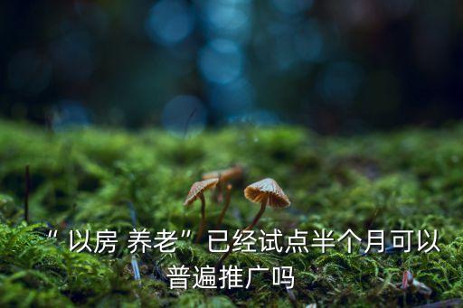 “ 以房 養(yǎng)老”已經試點半個月可以普遍推廣嗎