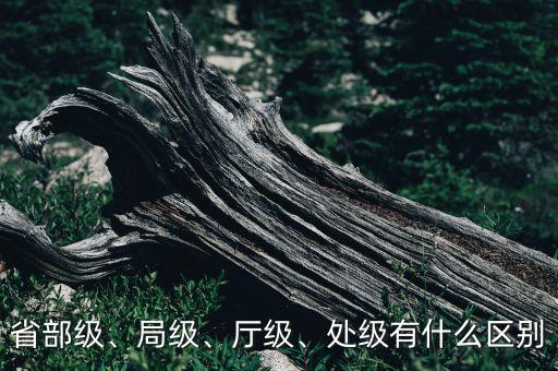 省部級(jí)、局級(jí)、廳級(jí)、處級(jí)有什么區(qū)別