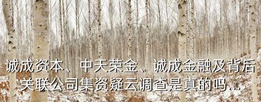 誠(chéng)成資本、中天榮金、誠(chéng)成金融及背后關(guān)聯(lián)公司集資疑云調(diào)查是真的嗎...