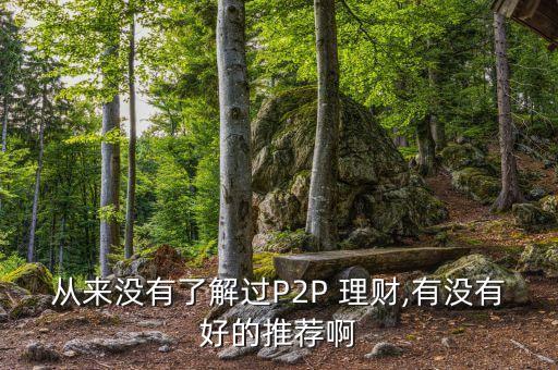 從來沒有了解過P2P 理財(cái),有沒有好的推薦啊