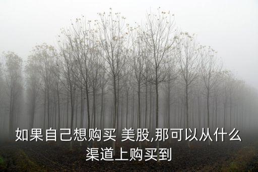 如果自己想購(gòu)買 美股,那可以從什么渠道上購(gòu)買到