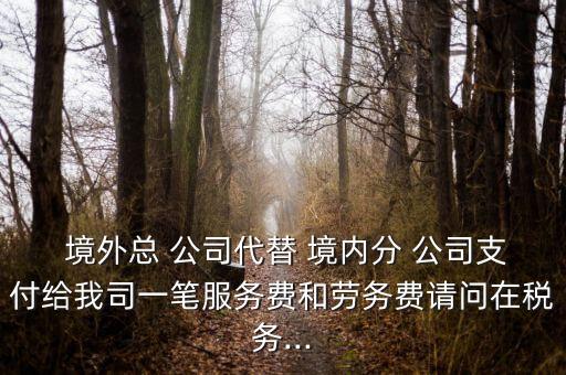  境外總 公司代替 境內(nèi)分 公司支付給我司一筆服務(wù)費(fèi)和勞務(wù)費(fèi)請問在稅務(wù)...
