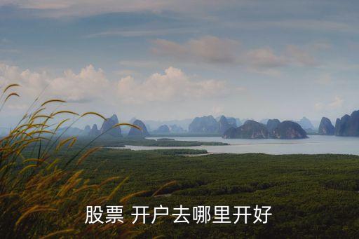 股票 開(kāi)戶去哪里開(kāi)好