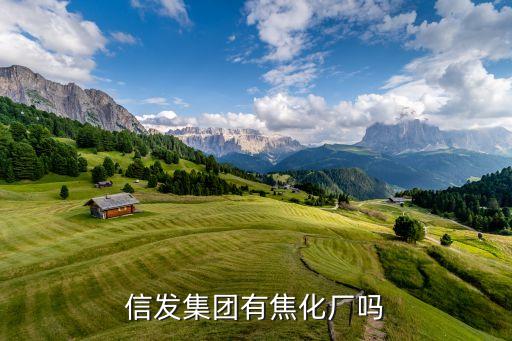 信發(fā)集團有焦化廠嗎